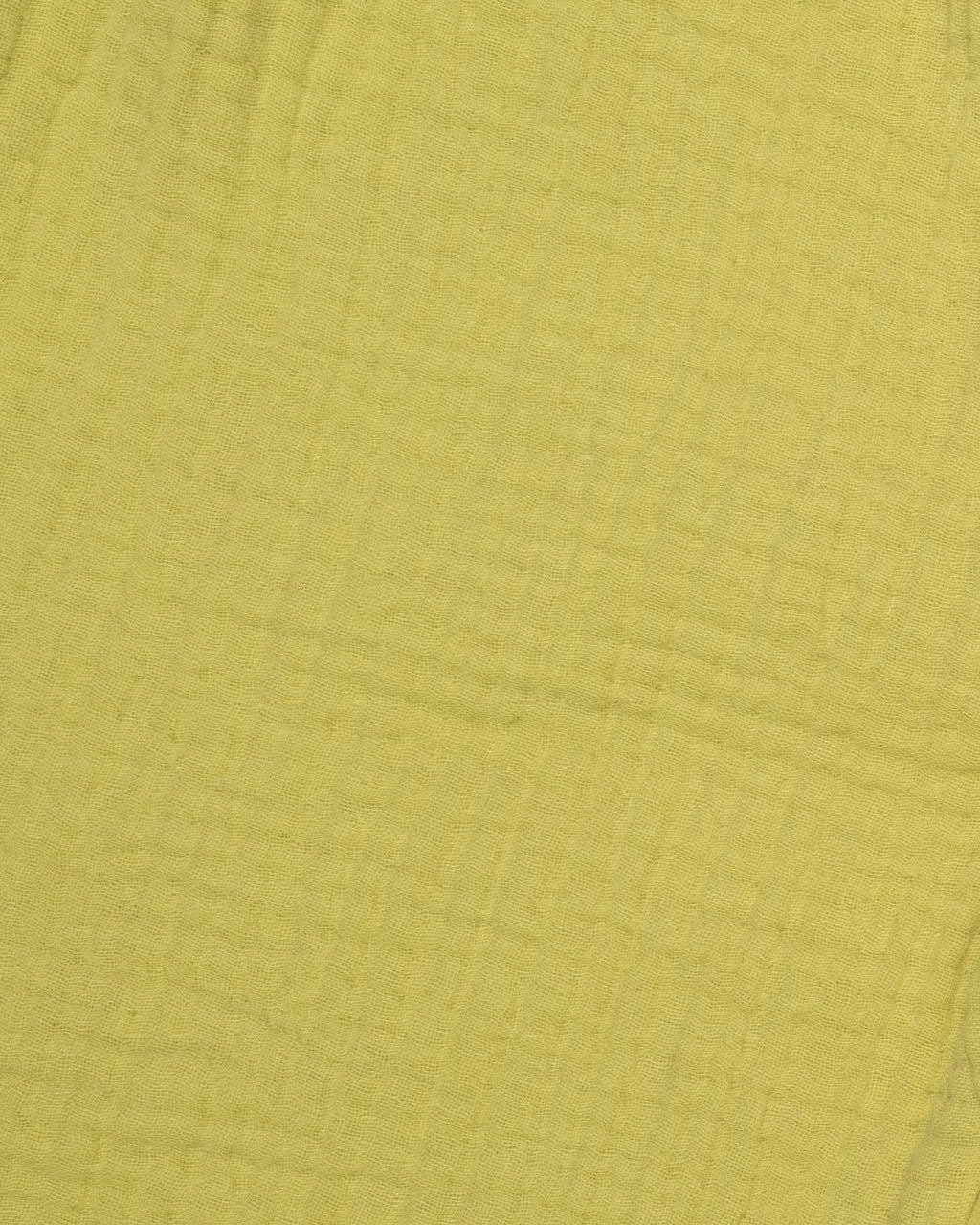 Balloon Pants in Lime
