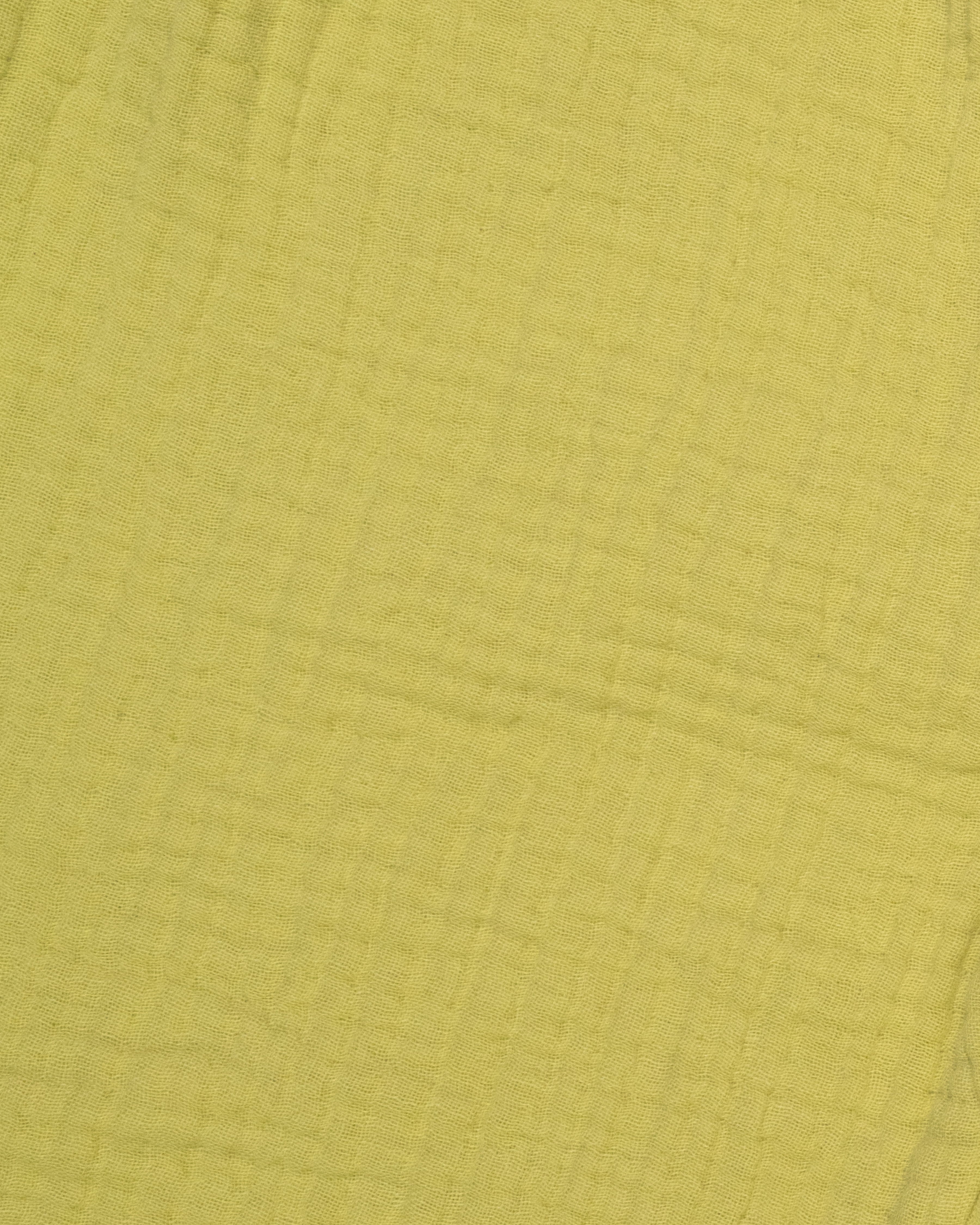 Balloon Pants in Lime
