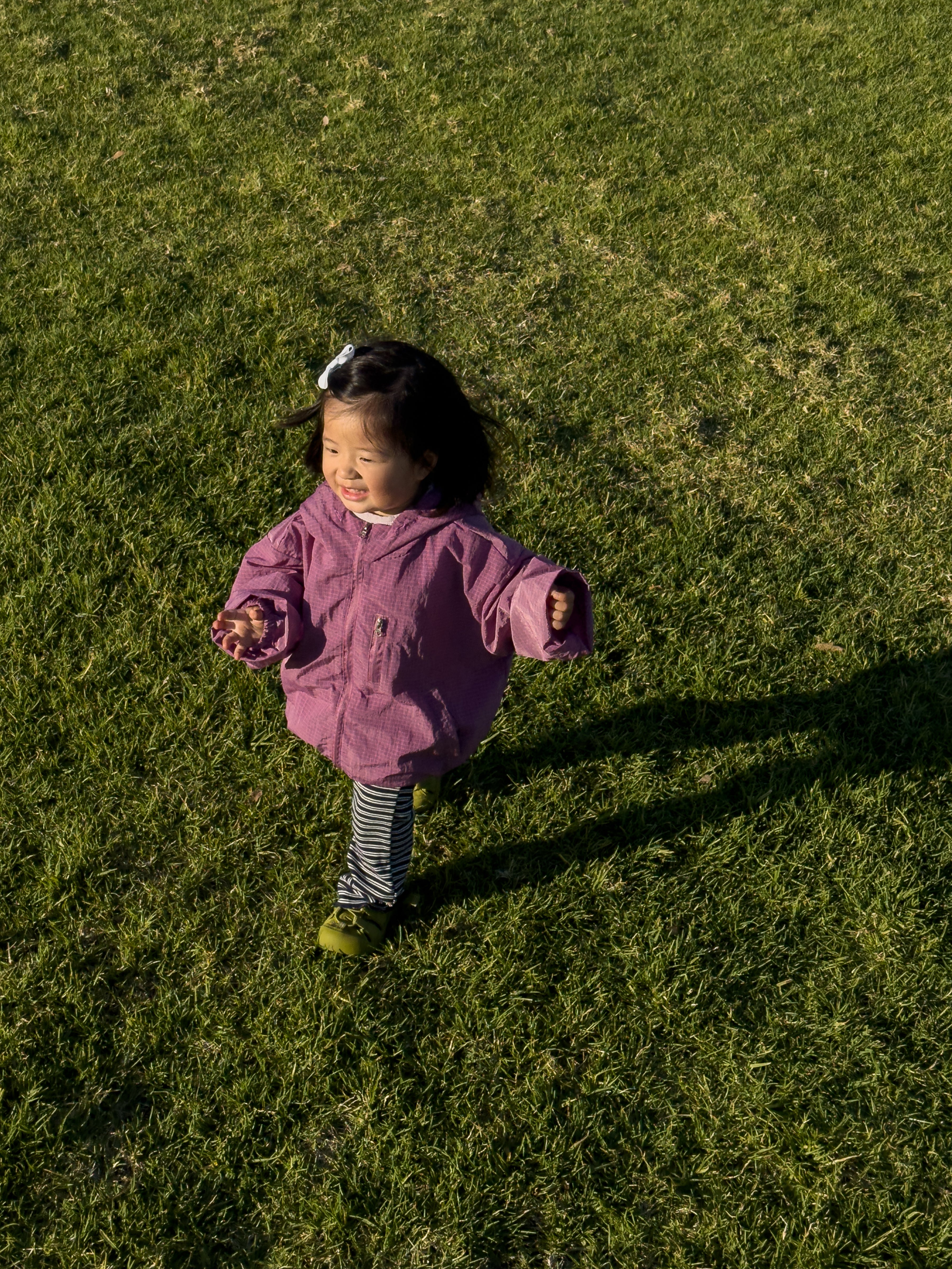 Windbreaker in Purple Pink